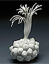 Hybrid Cluster No. 12